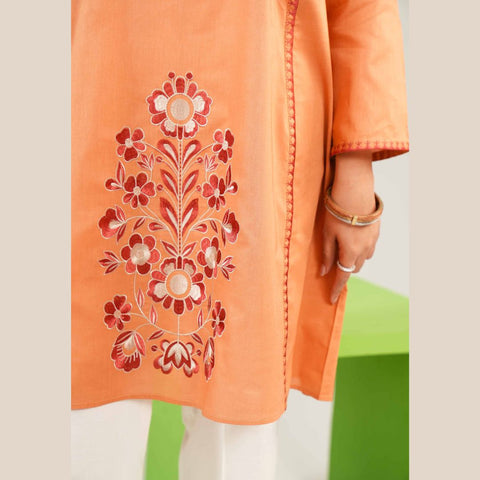 1 Pices  Embroidered Shirt